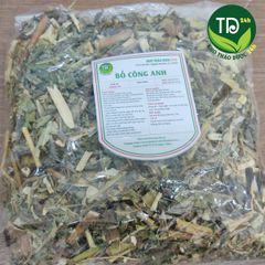 Trà bồ công anh thanh nhiệt, hỗ trợ giải độc, làm sạch cơ thể, làm mát sữa, chống tắc tia sữa