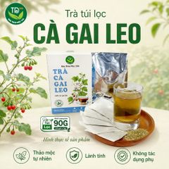 Trà túi lọc cà gai leo, thảo mộc cho sức khoẻ, thơm dịu vị thiên nhiên, hàng loại 1, 100% từ thiên nhiên