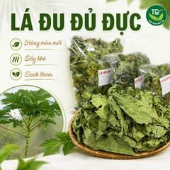 Lá đu đủ đực sấy khô, hàng mùa mới, loại A, xanh, sạch, thơm, nhiều công dụng tốt