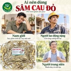 Sâm cau khô, sâm cau đỏ, sâm rừng Tây Bắc, 250 gr, thái lát, khô, sạch, thơm, nhiều công dụng tốt