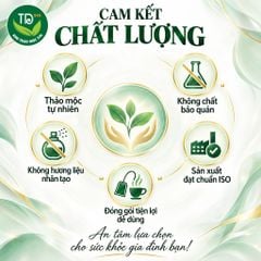 Trà dâu tằm khổ qua túi lọc, hộp 30 gói, tiện sử dụng, thơm dịu từ thiên nhiên, nhiều công dụng tốt