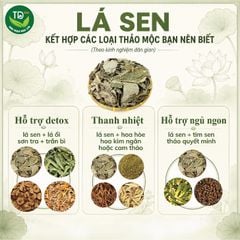 [01 kg] Lá Sen khô (sao vàng hạ thổ), xanh, sạch, đẹp, hỗ trợ ngủ ngon, detox cơ thể, giải nhiệt