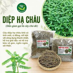 Diệp hạ châu (cây chó đẻ), hàng mùa vụ mới, khô, sạch, thơm, 01kg, hỗ trợ thanh nhiệt, lợi tiểu