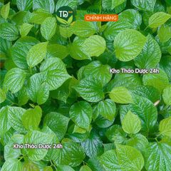 Lá lốt sấy khô, hỗ trợ xương khớp, phong tế thấp, tán hàn, giảm đau lưng, đau chân, đầy bụng, nôn ói