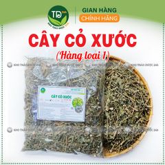 Cây cỏ xước khô, hỗ trợ ngừa sỏi thận, tiểu đường, mỡ máu cao, ổn định kinh nguyệt, tốt cho người bị thoái hóa khớp xương