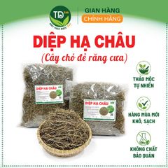 Diệp hạ châu (cây chó đẻ răng cưa), hàng mùa vụ mới, phơi sấy tự nhiên, 500 gr, hỗ trợ thanh nhiệt, lợi tiểu