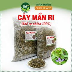 Cây Màn Ri, màng ghi hoa tím, mần ri tía khô hàng công ty, sạch khô, thơm