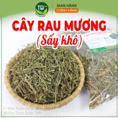 Cây rau mương khô thượng hạng, hỗ trợ người mắc các chứng về dạ dày, loại bỏ virus HP, thảo mộc thuần tự nhiên