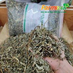 [1kg] Ngải cứu khô nguyên chất, xông giải cảm, điều kinh, an thai, ôn hòa khí huyết, lưu thông máu | Kho thảo dược 24h
