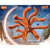 Mô hình đồ chơi lắp ráp Naruto Shippuden Legend Edition 01 BLOKEES