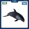 Mô hình đồ chơi Động Vật Cá Heo Sườn Trắng ANIA AS-19 White Sided Dolphin TAKARA TOMY