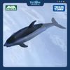Mô hình đồ chơi Động Vật Cá Heo Sườn Trắng ANIA AS-19 White Sided Dolphin TAKARA TOMY