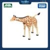 Mô hình đồ chơi Động Vật Hưu Cao Cổ ANIA AL-30 Giraffe TAKARA TOMY