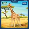 Mô hình đồ chơi Động Vật Hưu Cao Cổ ANIA AL-30 Giraffe TAKARA TOMY