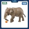Mô hình đồ chơi Động vật Voi Châu Phi ANIA AS-02 African Elephant TAKARA TOMY
