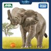 Mô hình đồ chơi Động vật Voi Châu Phi ANIA AS-02 African Elephant TAKARA TOMY