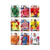 Bộ thẻ sưu tập FIFA World Cup 2026 Adrenalyn XL PANINI