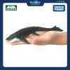 Đồ chơi mô hình Mosasaurus ( Thằn Lằn Sông Meuse ) Ania Jurassic World TAKARA TOMY