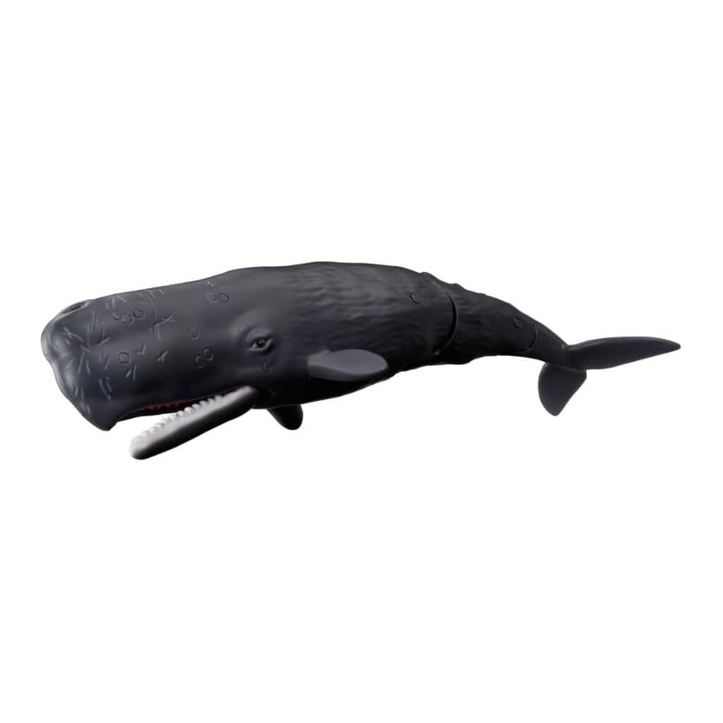 Mô hình đồ chơi Động Vật Cá Nhà Táng ANIA AL-34 Sperm Whale TAKARA TOMY