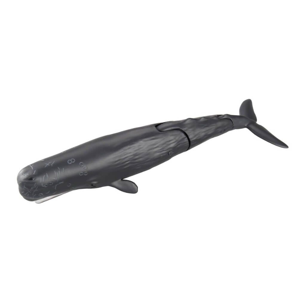 Mô hình đồ chơi Động Vật Cá Nhà Táng ANIA AL-34 Sperm Whale TAKARA TOMY