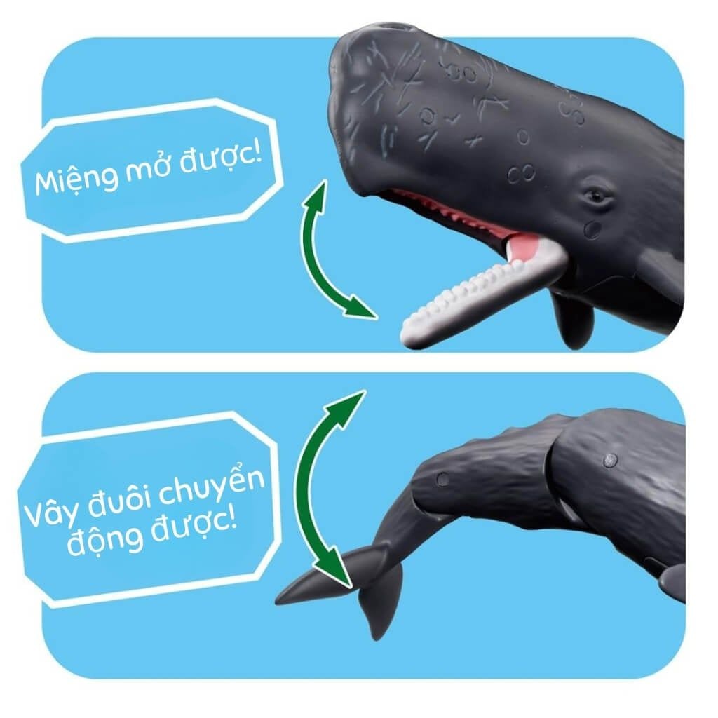 Mô hình đồ chơi Động Vật Cá Nhà Táng ANIA AL-34 Sperm Whale TAKARA TOMY