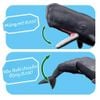 Mô hình đồ chơi Động Vật Cá Nhà Táng ANIA AL-34 Sperm Whale TAKARA TOMY