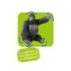 Mô hình đồ chơi Động Vật Khỉ Đột ANIA AL-29 Gorilla TAKARA TOMY
