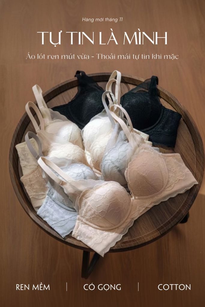 Áo lót ren không gọng mút vừa A0K11