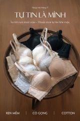 Áo lót ren không gọng mút vừa A0K11