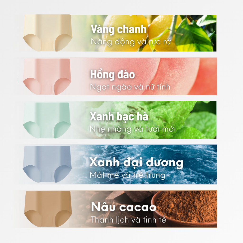 [FREESHIP] COMBO 5 quần lót mặt nạ giải nhiệt, không viền P2209 - BOM Sister