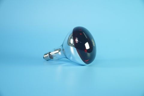  Bóng đèn hồng ngoại Therra, bóng đèn trị liệu SPA cao cấp, ấp trứng, y tế 