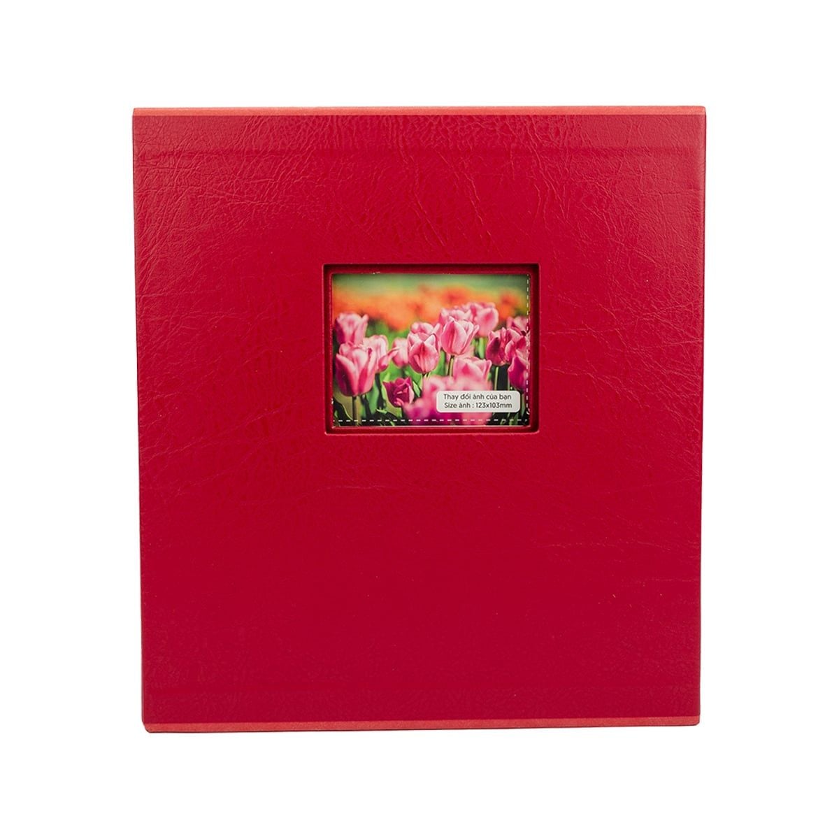  Album ảnh 13x18 – 200 ảnh | Bìa da Vinyl Châu Âu, có memo ghi chú, hộp bảo vệ, khắc chữ theo yêu cầu 