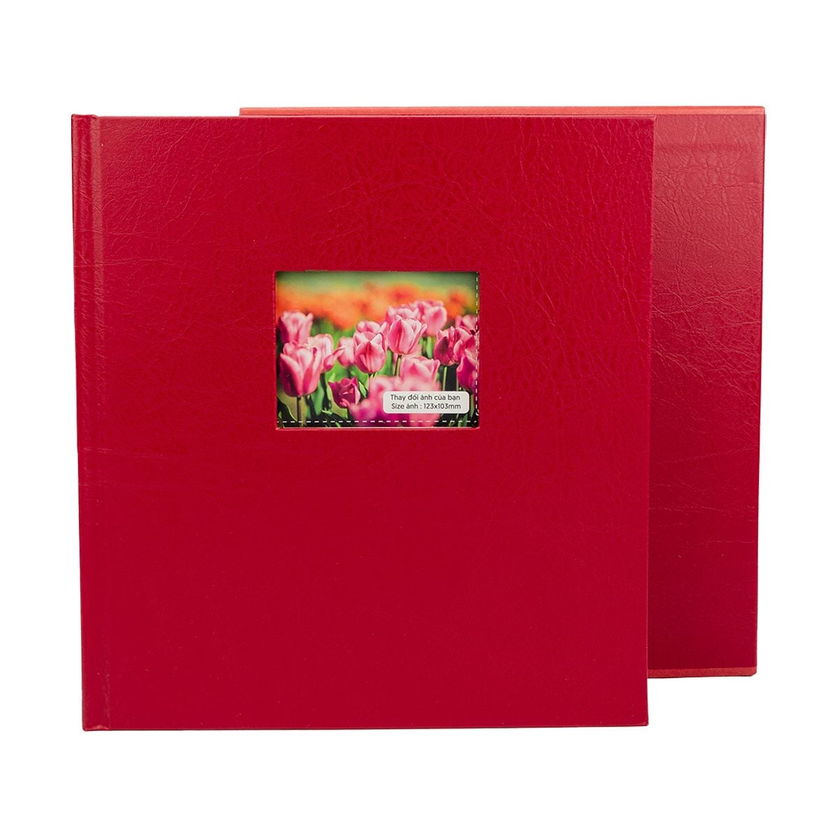  Album ảnh 13x18 – 200 ảnh | Bìa da Vinyl Châu Âu, có memo ghi chú, hộp bảo vệ, khắc chữ theo yêu cầu 