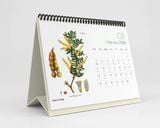  Lịch Bàn 2026 - Botanicals & Herbs 