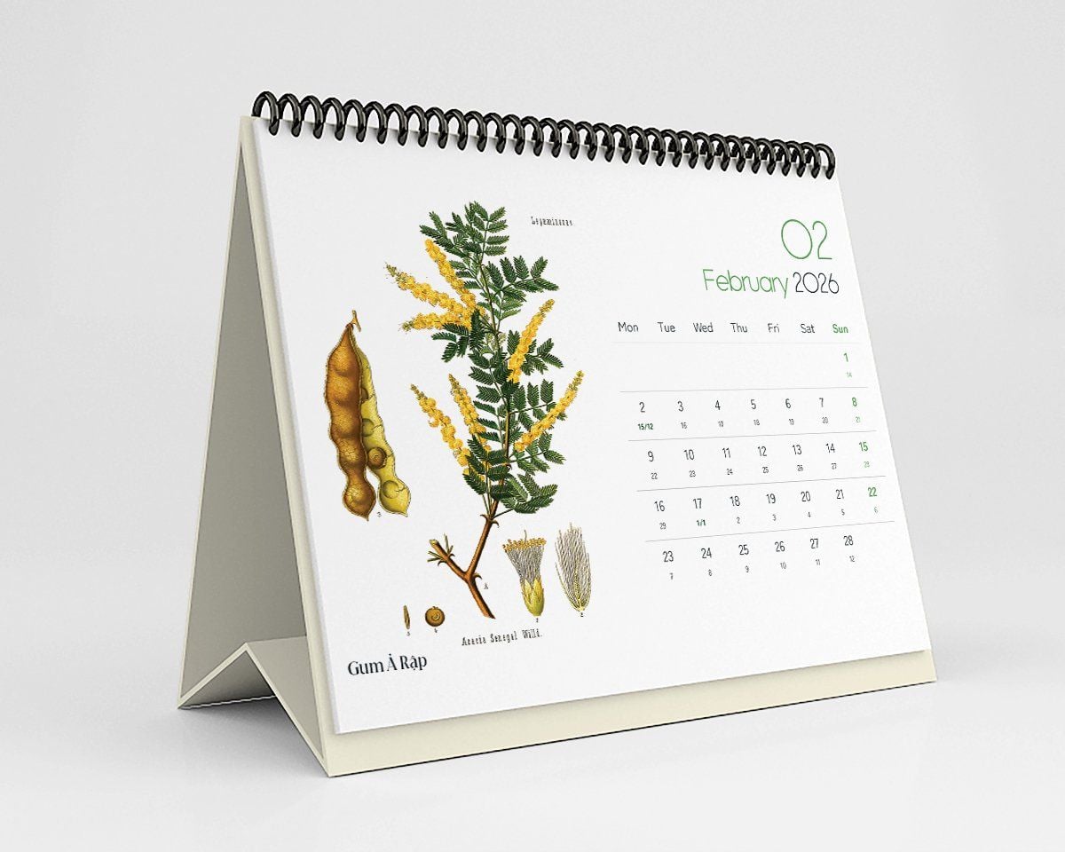  Lịch Bàn 2026 - Botanicals & Herbs 