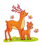  My First Puzzle -  Động Vật 