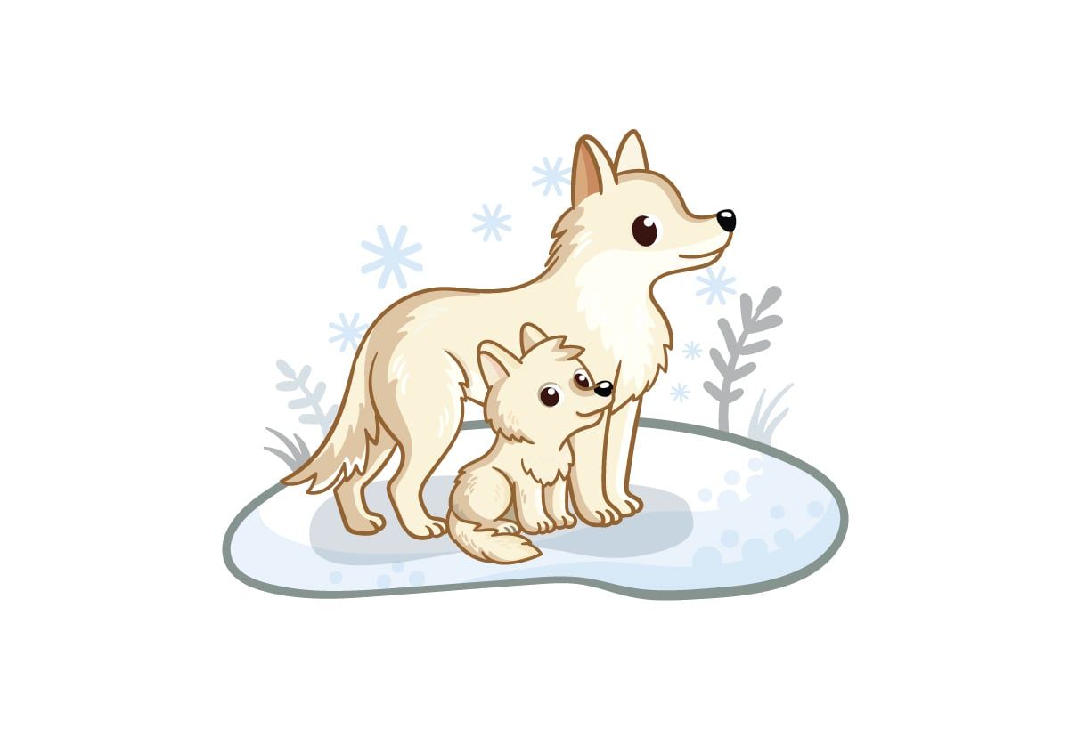  My First Puzzle -  Động Vật 