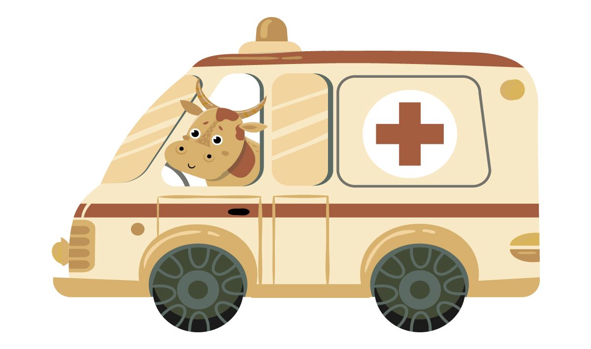  My First Puzzle -  Xe Cộ 