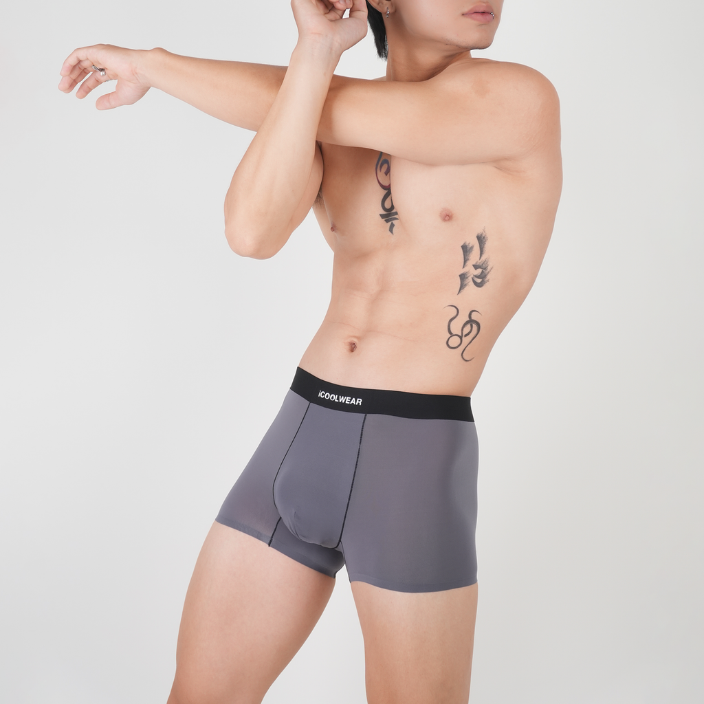 Combo 4 quần lót nam cao cấp profit iCOOLWEAR, Quần boxer nam thun lạnh, thoáng khí, kháng khuẩn, khử mùi vn017