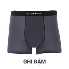 Combo 3 quần lót nam cao cấp profit iCOOLWEAR, Quần boxer nam thun lạnh, thoáng khí, kháng khuẩn, khử mùi vn017