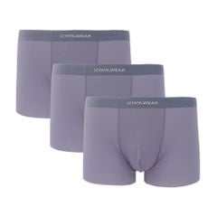 Combo 3 Quần lót nam cao cấp iCOOLWEAR, Quần boxer nam thun lạnh, thoáng khí, kháng khuẩn, khử mùi VN010