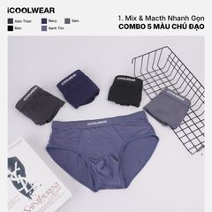 Combo 5 quần sịp tam giác nam iCOOLWEAR chất vải modal, thoáng khí, mềm mại VN012