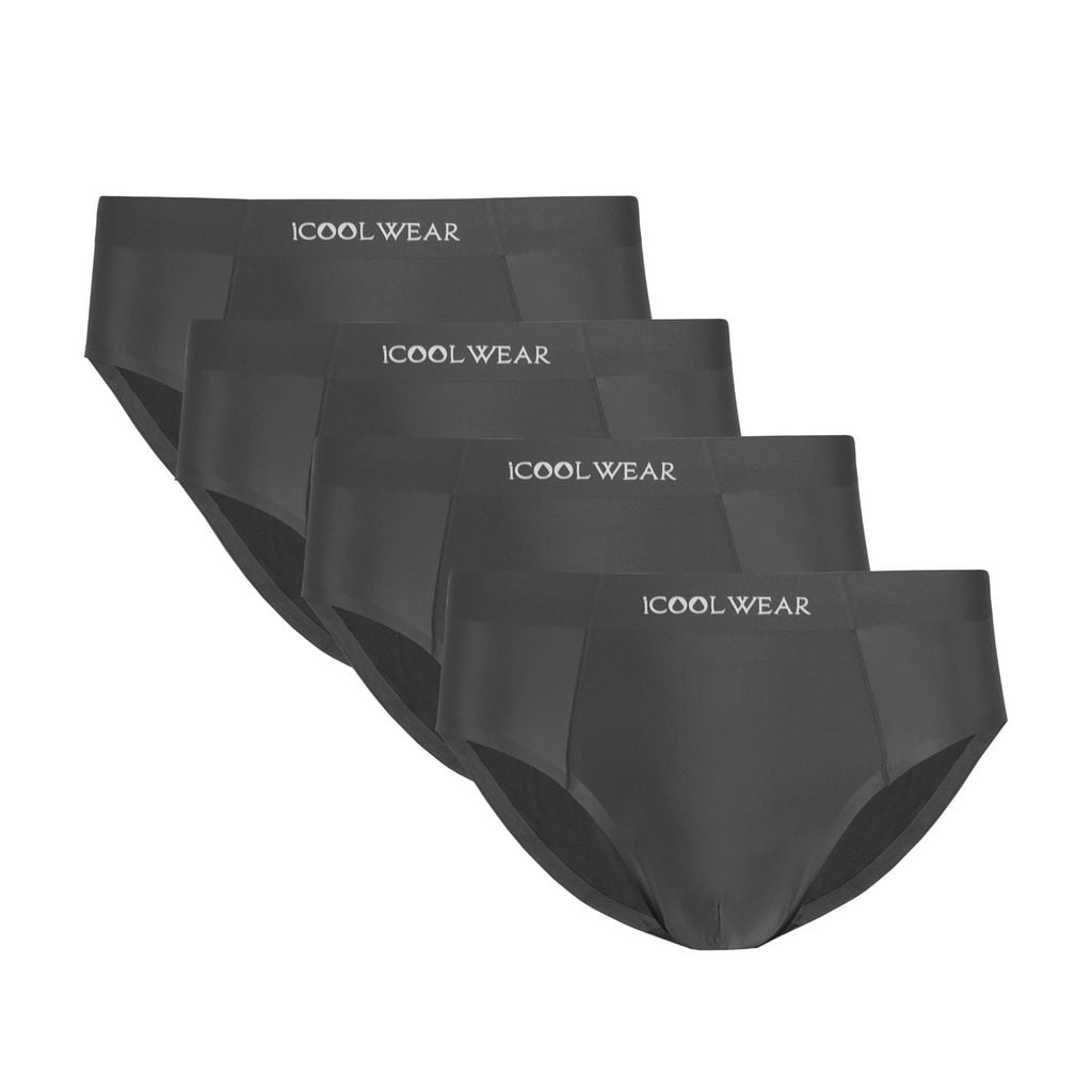 Combo 4 quần lót nam kiểu tam giác vải su iCOOLWEAR ice silk VN008