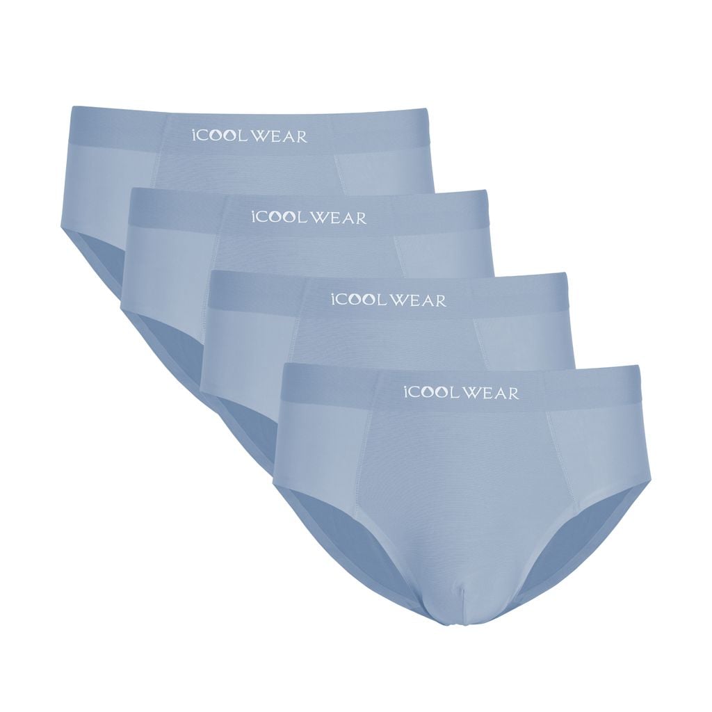 Combo 4 quần lót nam kiểu tam giác vải su iCOOLWEAR ice silk VN008