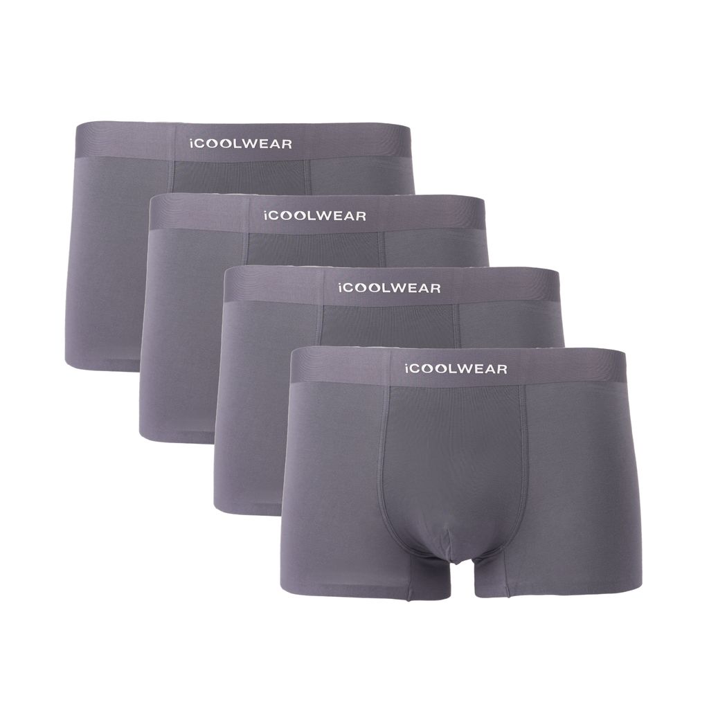 Combo 4 Quần lót nam cao cấp Profit iCOOLWEAR, quần boxer modal, thoáng khí, kháng khuẩn, khử mùi VN002
