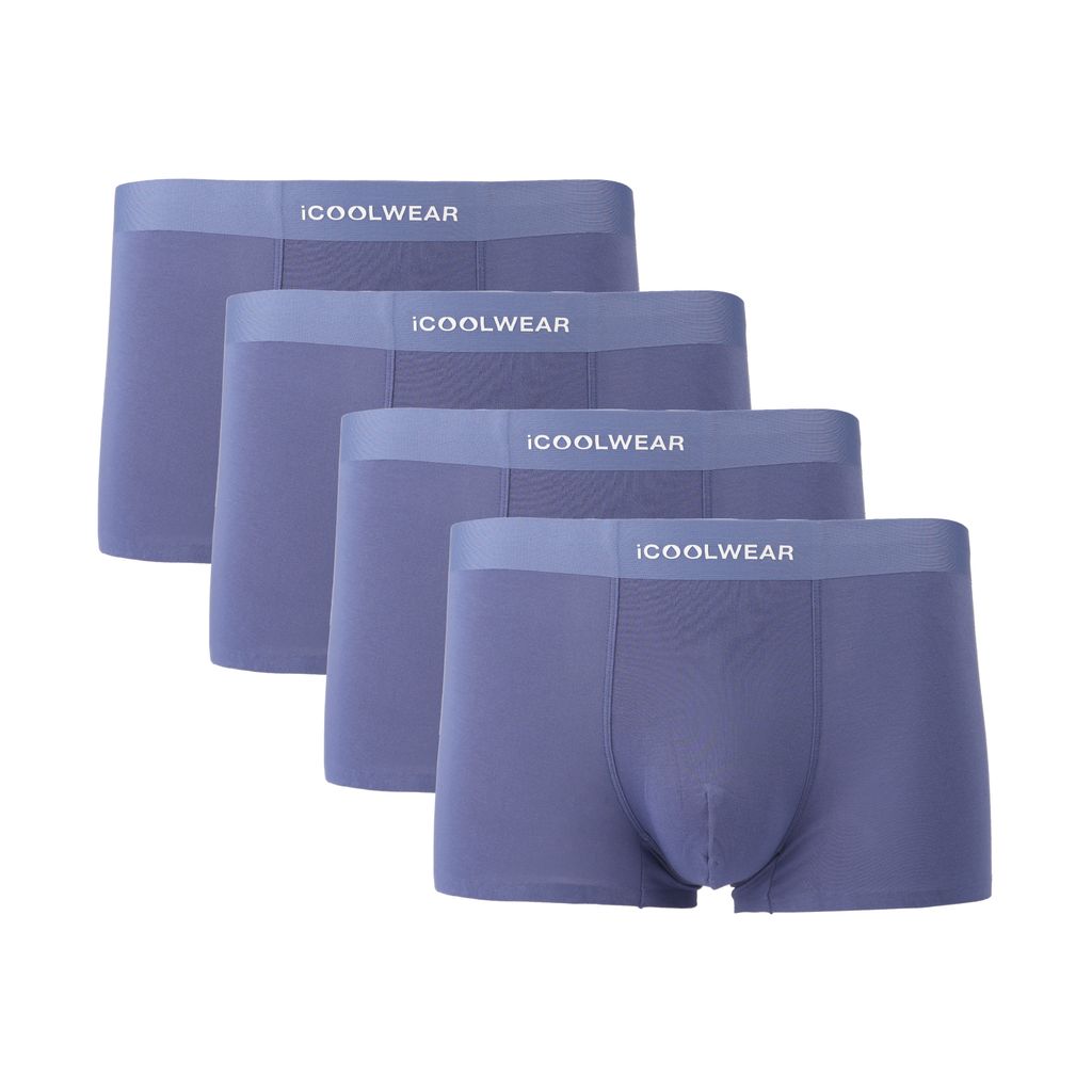 Combo 4 Quần lót nam cao cấp Profit iCOOLWEAR, quần boxer modal, thoáng khí, kháng khuẩn, khử mùi VN002