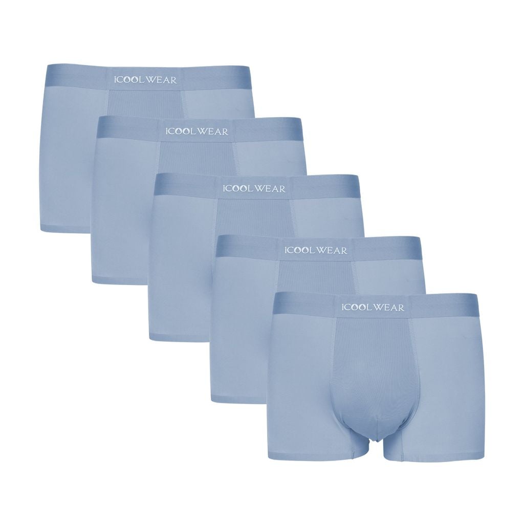 Combo 5 quần sịp nam BOXER ICOOLWEAR thun lạnh cao cấp, co giãn 4 chiều, kháng khuẩn tốt - VN004