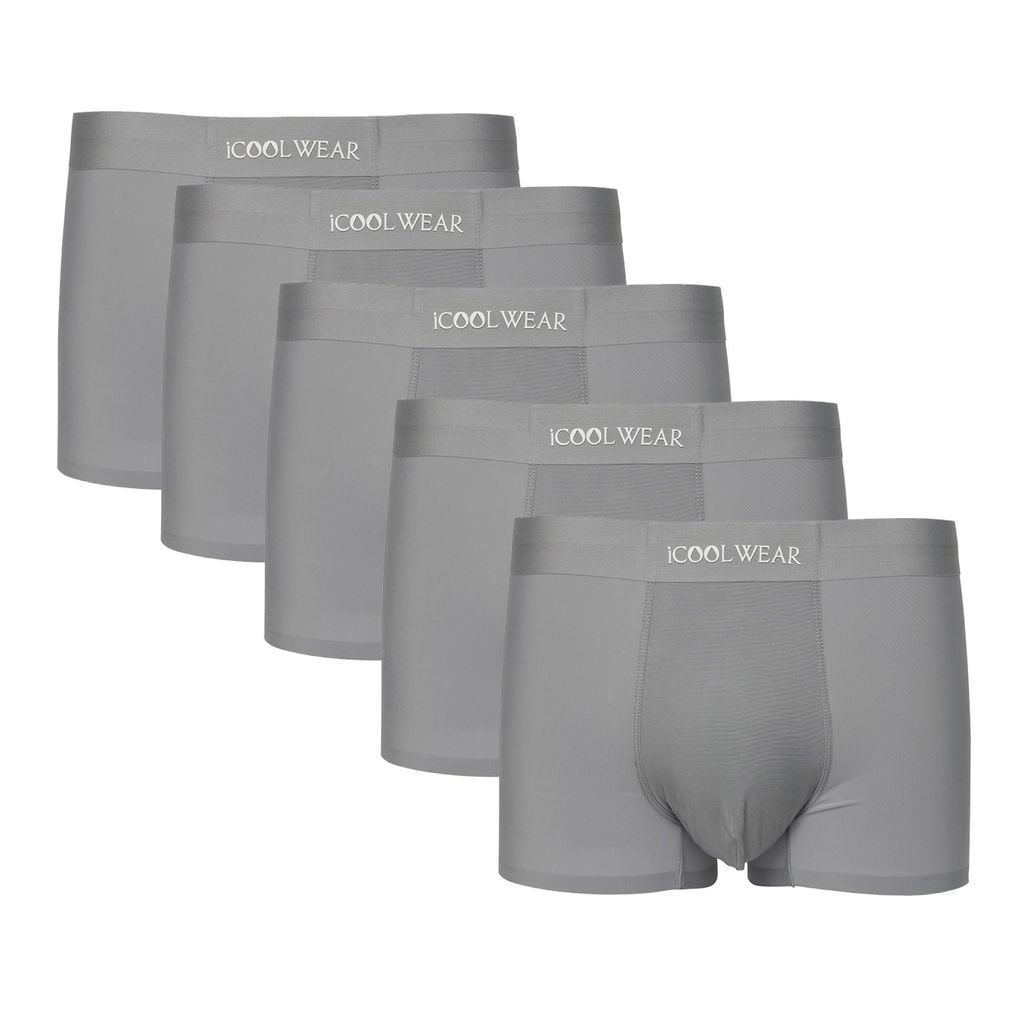Combo 5 quần sịp nam BOXER ICOOLWEAR thun lạnh cao cấp, co giãn 4 chiều, kháng khuẩn tốt - VN004