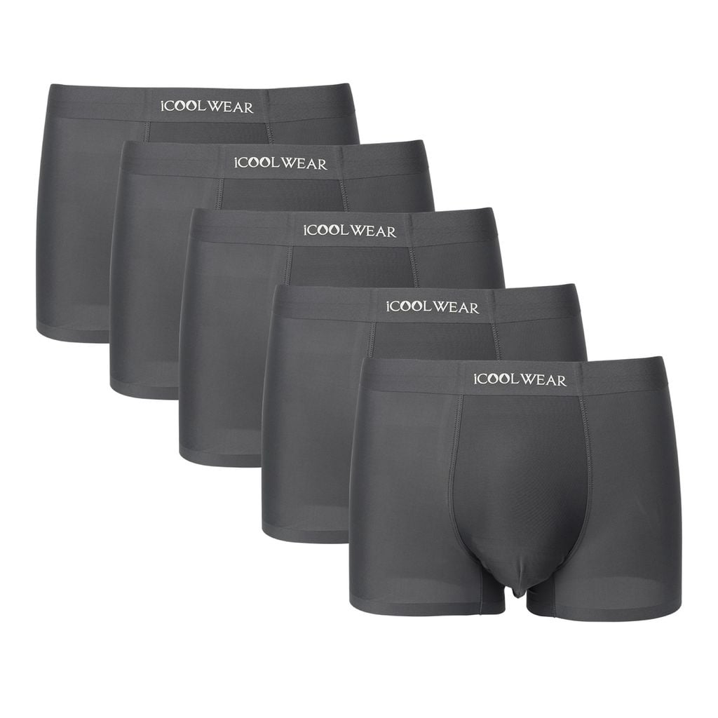 Combo 5 quần sịp nam BOXER ICOOLWEAR thun lạnh cao cấp, co giãn 4 chiều, kháng khuẩn tốt - VN004