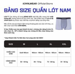 Combo 5 quần sịp nam BOXER ICOOLWEAR thun lạnh cao cấp, co giãn 4 chiều, kháng khuẩn tốt - VN004